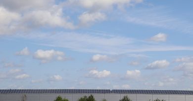 Écologie rentable : 5 stratégies pour réduire l'empreinte carbone en 2026