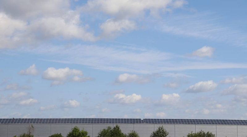 Écologie rentable : 5 stratégies pour réduire l'empreinte carbone en 2026
