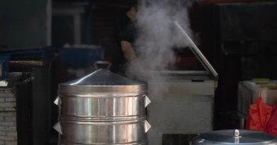 Cuiseur vapeur - Test d'Olla GM F : Avis et prix 2026