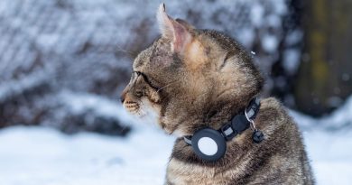 Top 10 Meilleur Traceur Gps Chat 2026