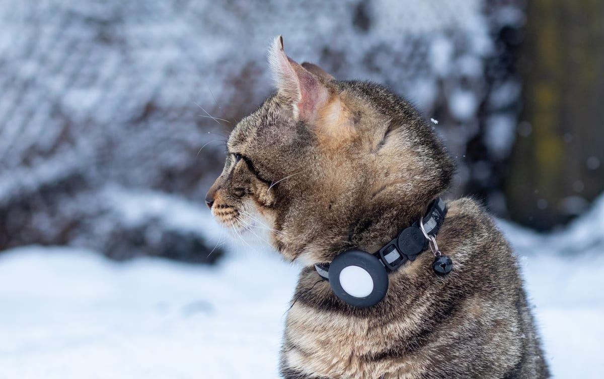 Top 10 Meilleur Traceur Gps Chat 2026